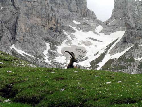 Forcella del Vallone